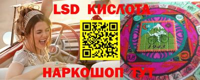 индика Пугачёв