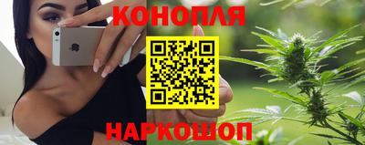 индика Пугачёв