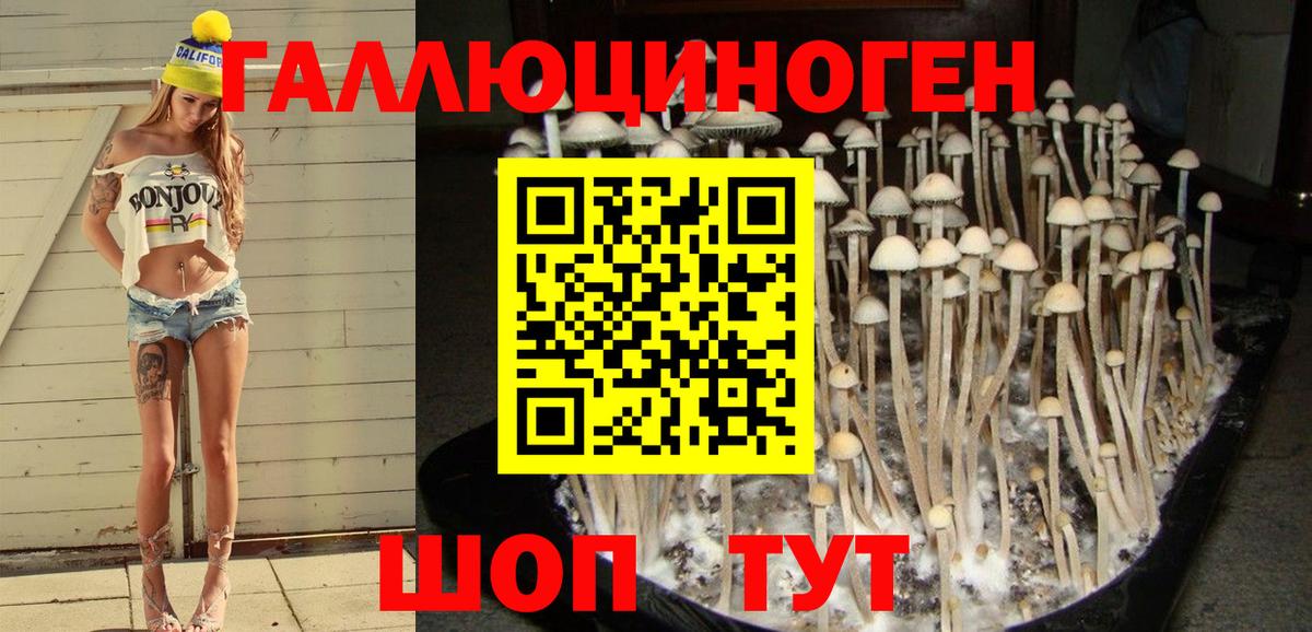 Реж  Галлюциногенные грибы Magic Shrooms  Вход с VPN 